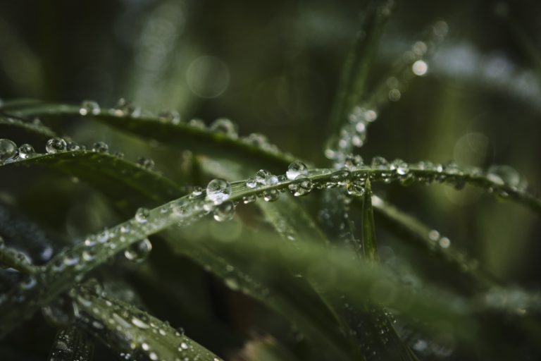 _DSF3035_bearbeitet